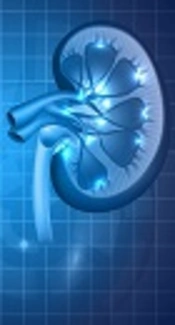 Clinical Practices and Therapeutic Management of Mineral and Bone Disorders in Chronic Kidney Disease 4, 5 and 5D: The OCEANOS Study in Iran